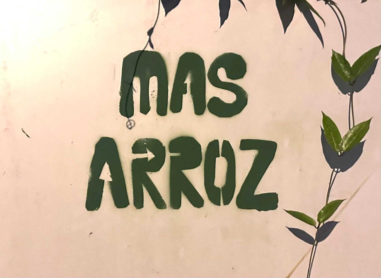 Mas Arroz painted on the studio wall